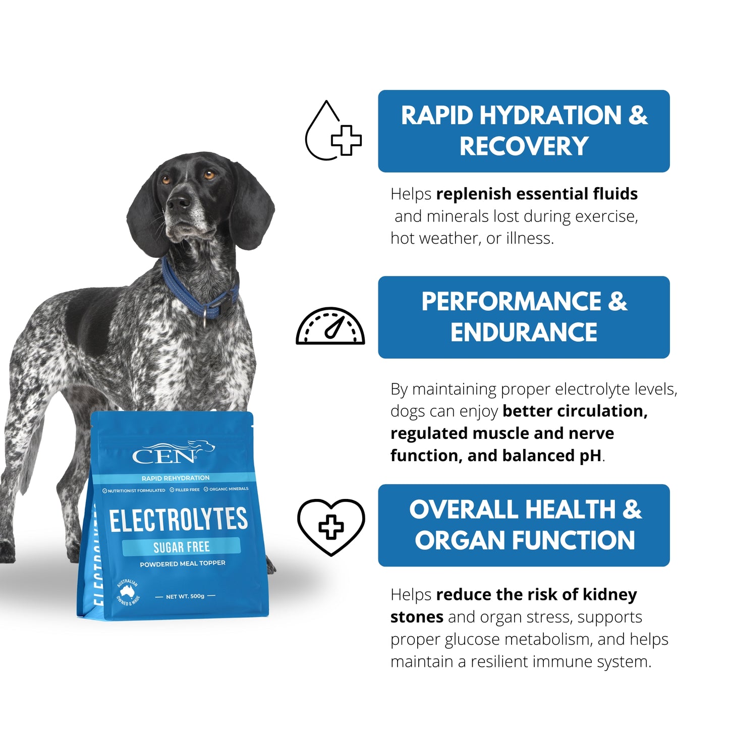 CEN Dog Electrolytes 500g