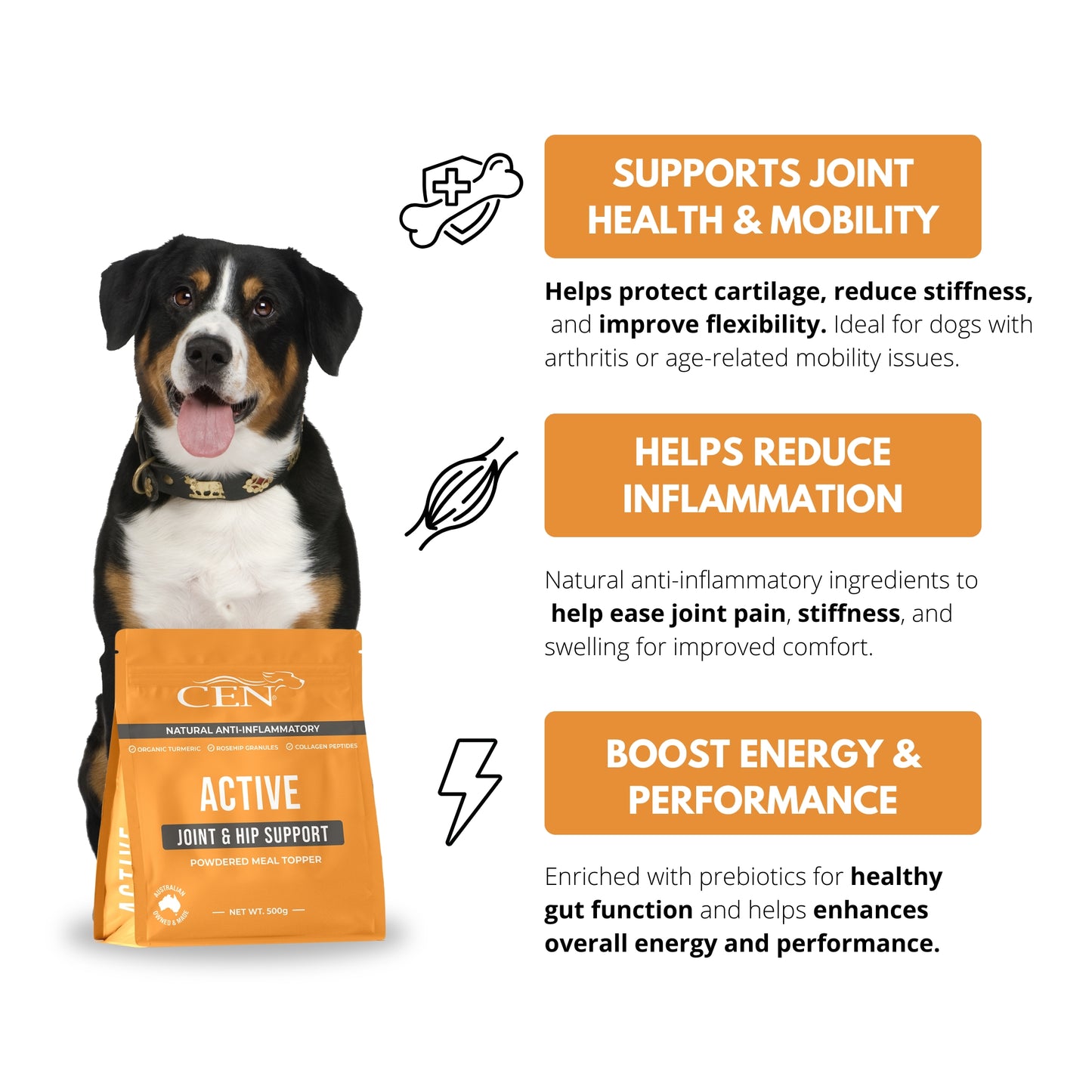 CEN Dog Active 500g