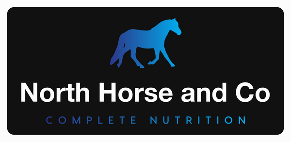 North Horse and Co