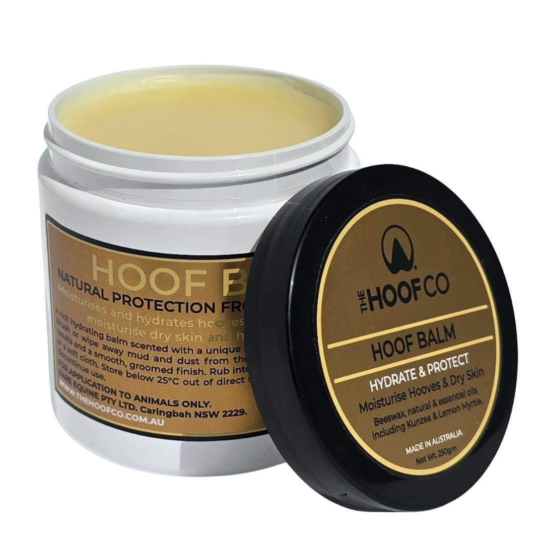 Hoof Balm 250g | Hoof Hydration and Nourishment