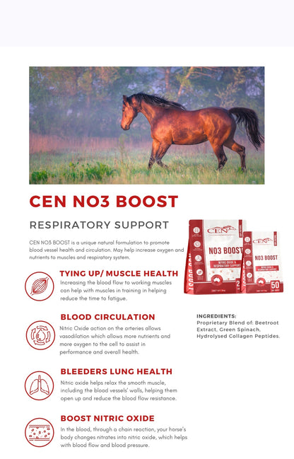 CEN Nutrition N03 Boost Horse Supplement - product information-Nutritional Information