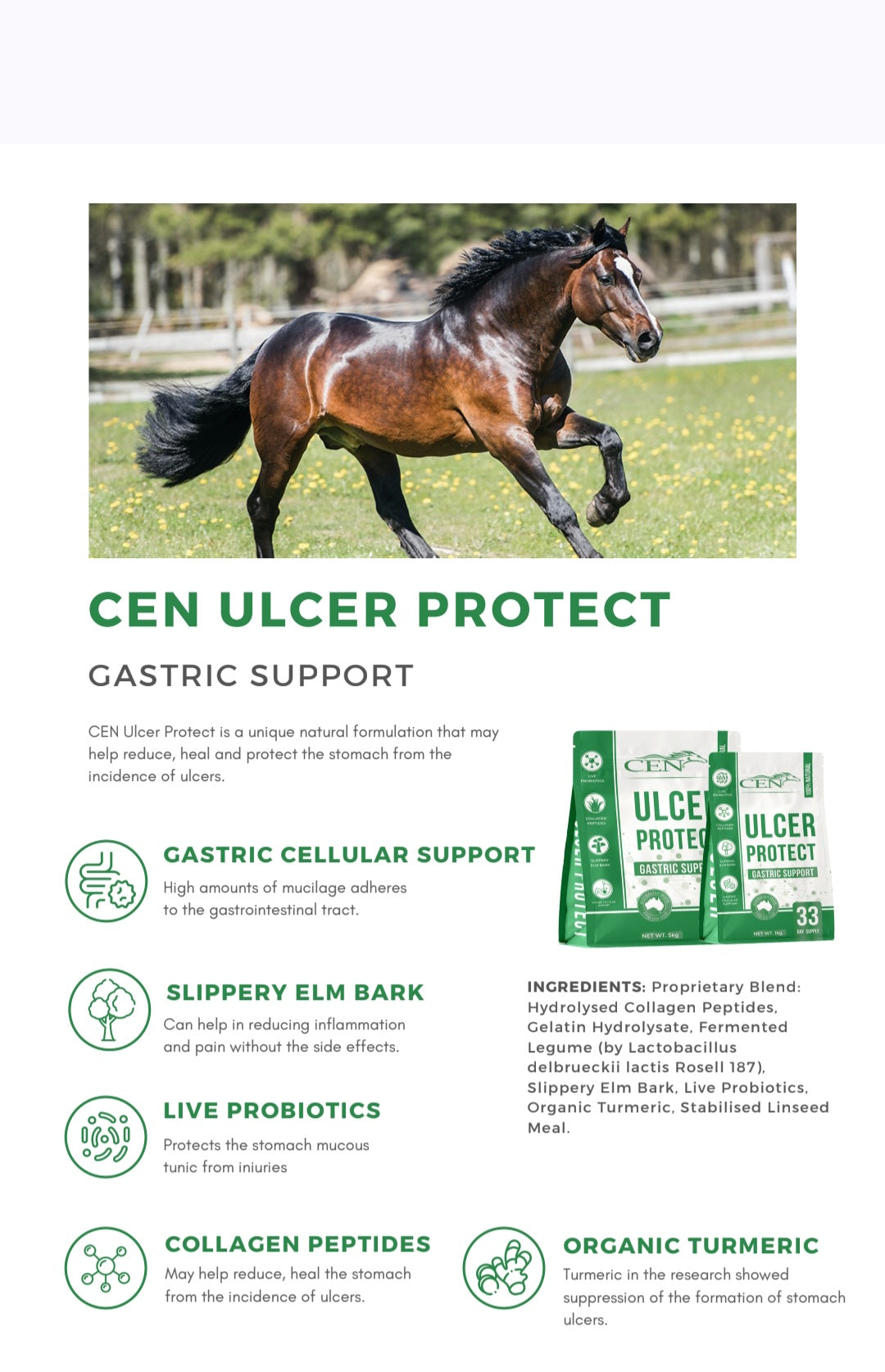 CEN Nutrition Ulcer Protect Supplement for Horses - product information-Ingredients-Nutritional Information