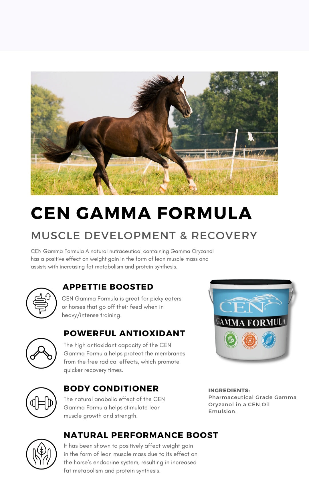 CEN Nutrition Gamma Formula for Horses - product and nutritional information