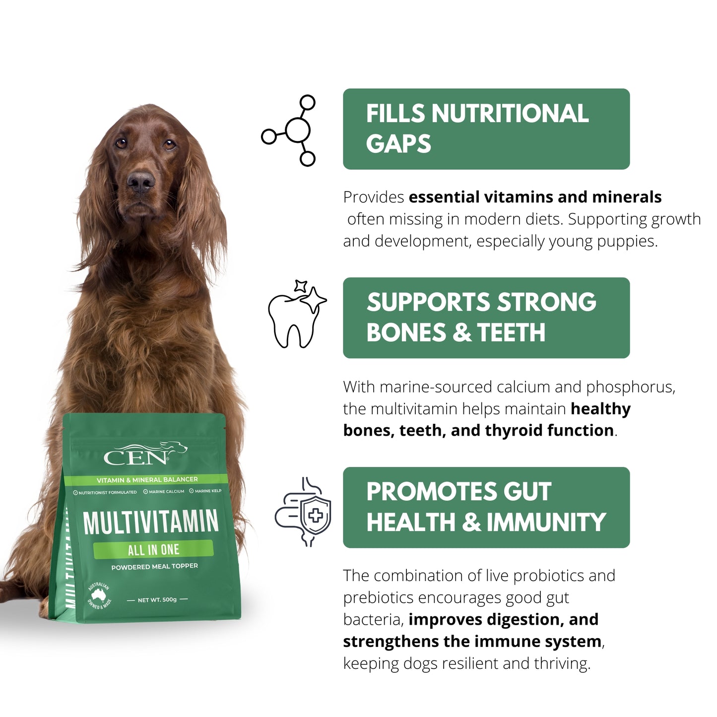 CEN Dog Multivitamin Meal Topper 500g