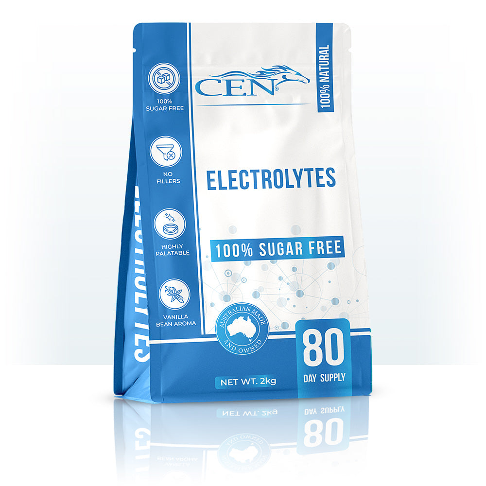 CEN Nutrition Electrolyte Supplement for Horses - natural electrolyte-rapid rehydration and recovery support-sugar-free + filler-free formula