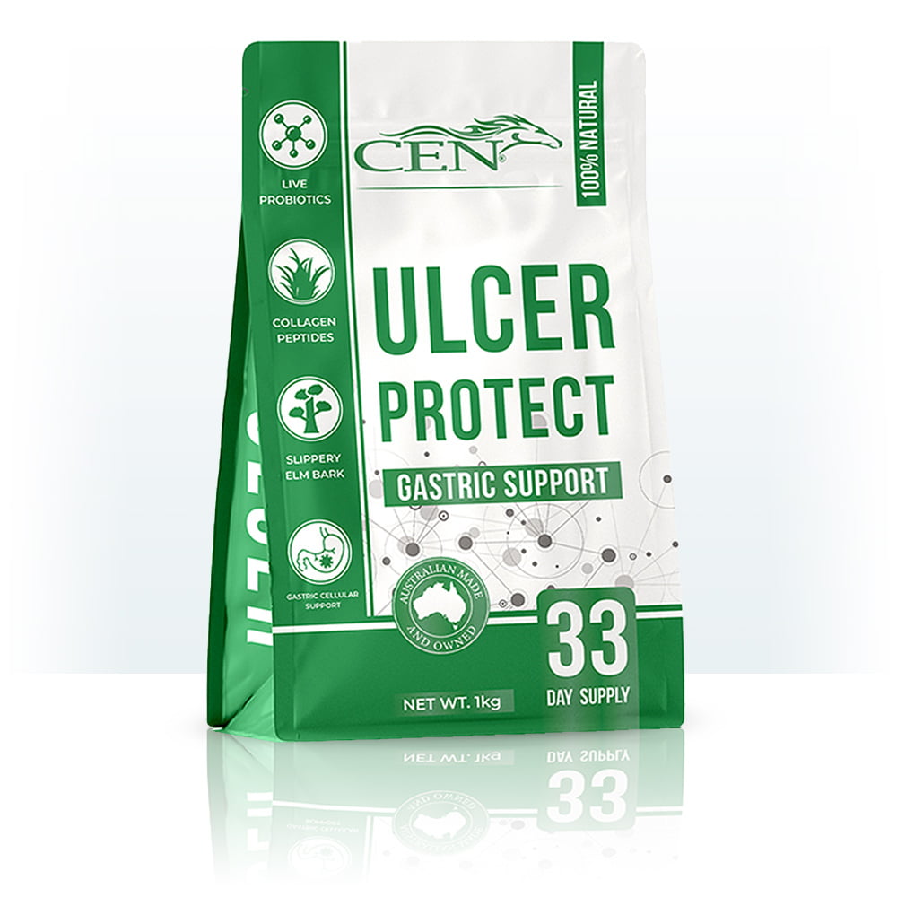 CEN Nutrition Ulcer Protect Supplement for Horses - natural ulcer support-promotes healing-gut protection-ulcer prevention
