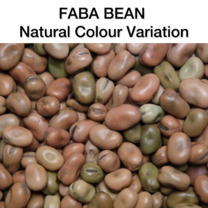 CEN Nutrition Ultimate Grain Free Complete Horse Feed Pellet  -ingredient faba bean